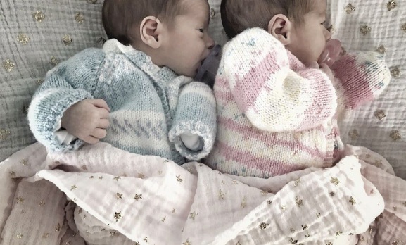 Ludwika paleta | Instagram