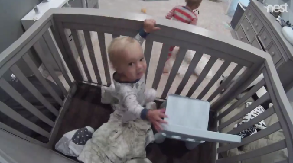 Daily Bumps  | Facebook