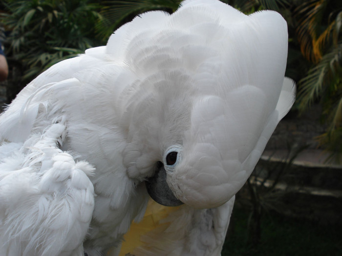 Alex Lanz (cc)/ Flickr