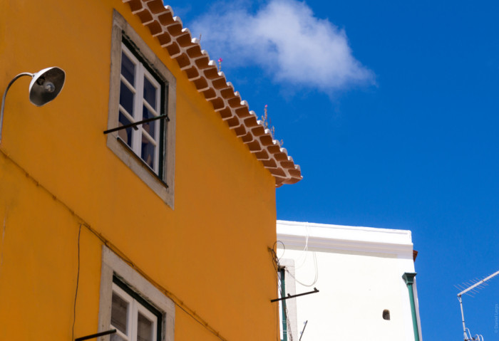 Creía que encontraría oro bajo tierra y terminó destruyendo la casa de su vecina