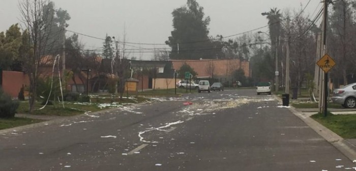 Grupo de personas quiso 