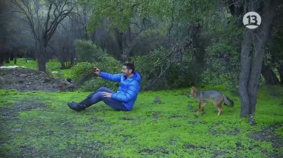 Así fue la fea mordida de una zorra que recibió Pancho Saavedra en 'Lugares que hablan'
