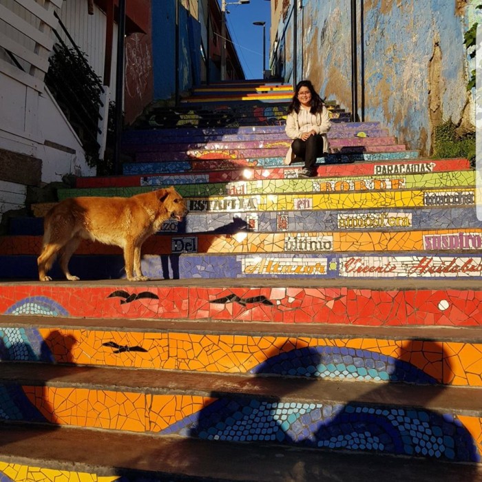 Joselyn Lavados | Facebook