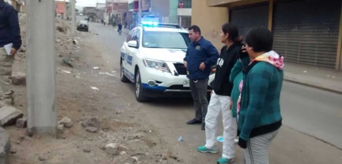 Municipio anunció querella tras encontrar a dos cachorros muertos en Antofagasta