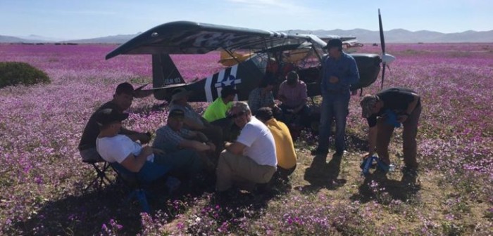 Indignación por aterrizaje de 11 avionetas en Desierto Florido: hicieron hasta un picnic