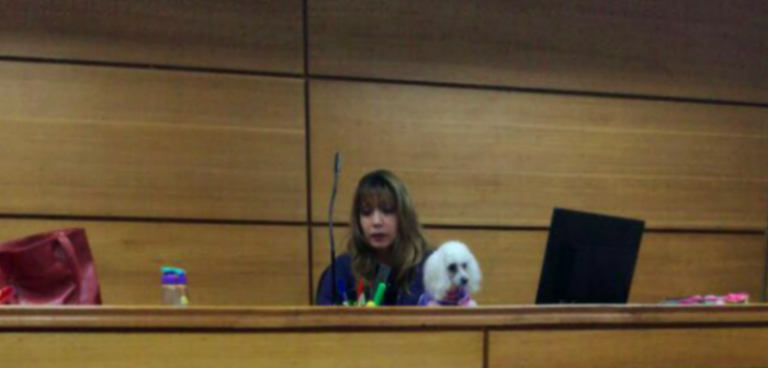 Revelan que polémica jueza con mascota no cursó programa de formación para ejercer cargo