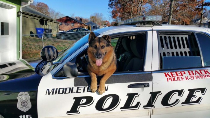 Middletown Police Department -Connecticut | Facebook