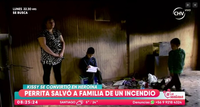 |Captura Chilevisión