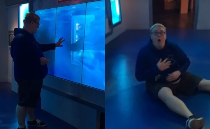 Turista quiso molestar al tiburón de un acuario y se llevó el susto de su vida