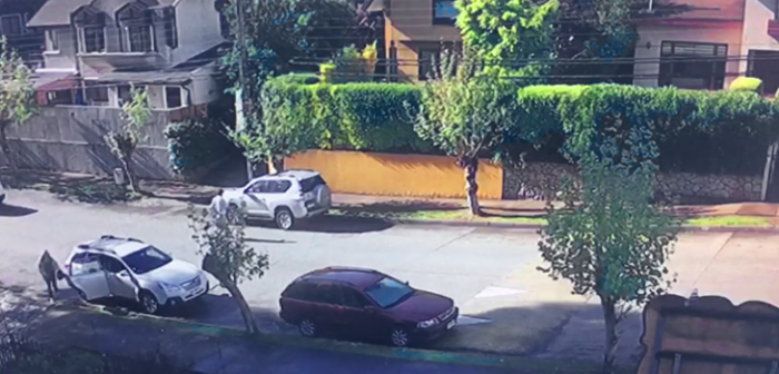 Video capta el momento exacto en que poste cae sobre vehículo con ocupantes