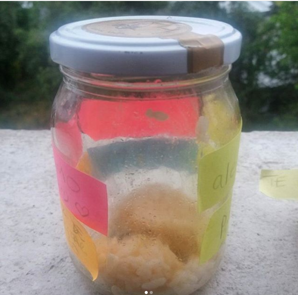 Lorena Capetillo | Instagram