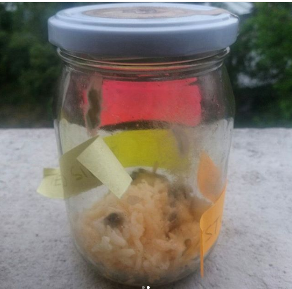 Lorena Capetillo | Instagram