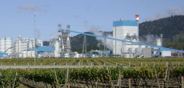 Tras reventón en ducto de Celulosa Arauco gobierno investigará efectos en el medioambiente