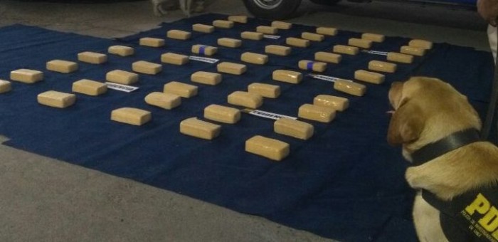 Desbaratan banda de narcotraficantes liderada por hermanos de Hualpén con $48 en drogas