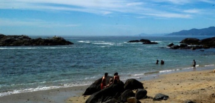 Profesora murió ahogada tras rescatar a alumno durante paseo de curso en El Tabo