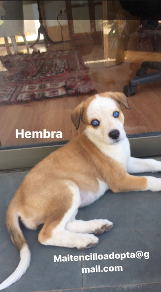 Mayte Rodríguez | Instagram