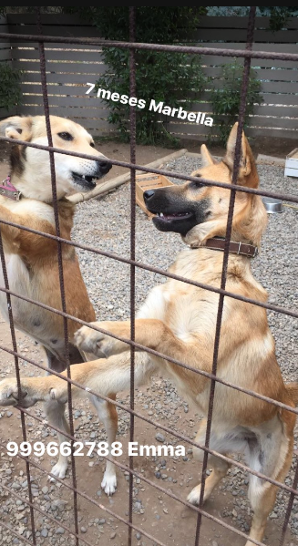 Mayte Rodríguez | Instagram