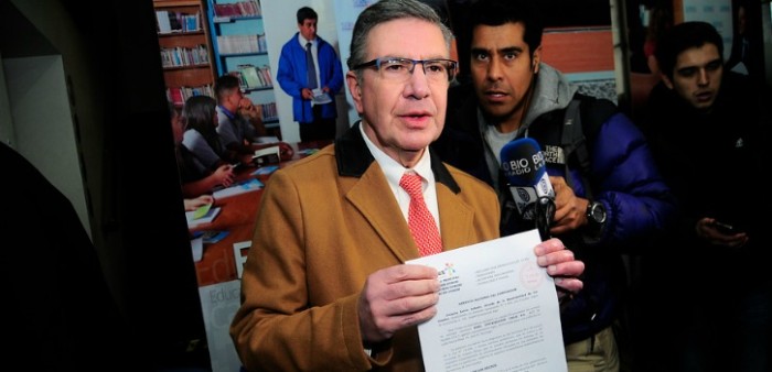 El gesto de Joaquín Lavín con gatita que murió apaleada que lo hizo recibir elogios