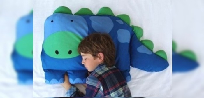 Joven compró tierna funda de cojín en Amazon y se llevó una insólita sorpresa