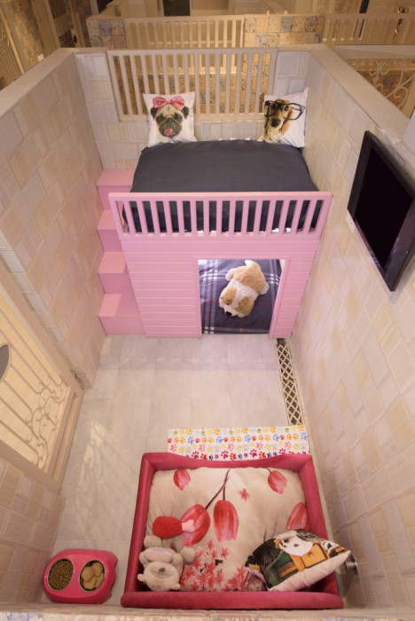 Critterati Hotel