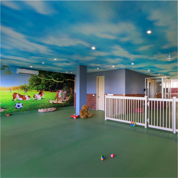 Critterati Hotel