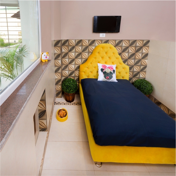 Critterati Hotel