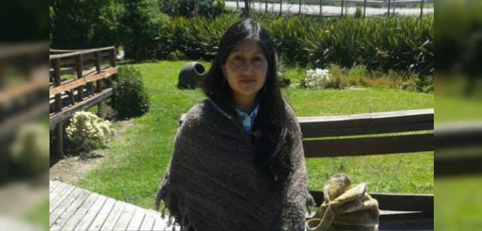 Caso Huenchuñir: la historia de la mujer que murió tras dar a luz en hospital de Contulmo