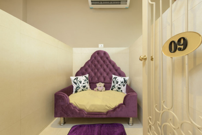Critterati Hotel