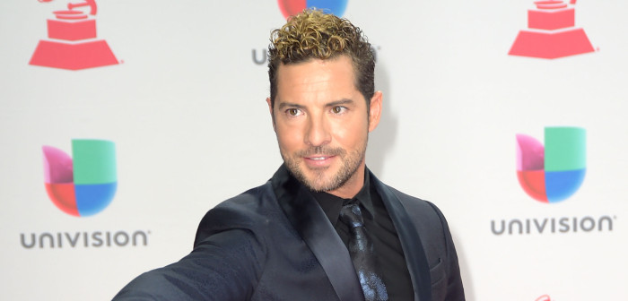 ¡Adiós soltería! David Bisbal anunció matrimonio con reconocida modelo y actriz venezolana