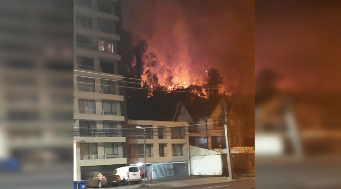 Incendio en Cerro Caracol de Concepción alertó a vecinos: fuego pudo afectar a casas