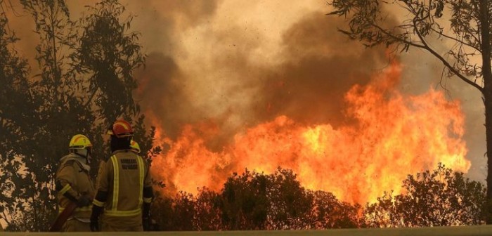 Se repite el escenario: incendios forestales mantienen alerta en zona centro-sur del país