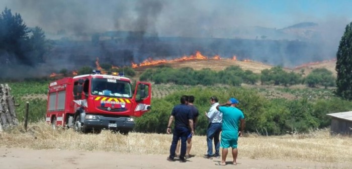 Alerta amarilla: lamentable escenario viven 10 comunas del Ñuble por incendios forestales