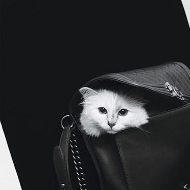 Choupette Lageferld | Instagram