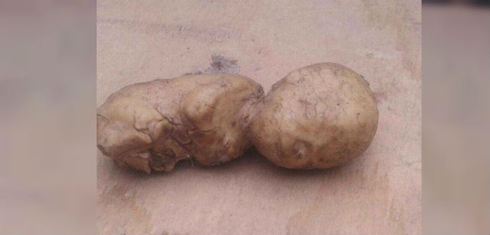 Despliegan amplio operativo tras hallazgo de un supuesto 'feto' en techo de una vivienda