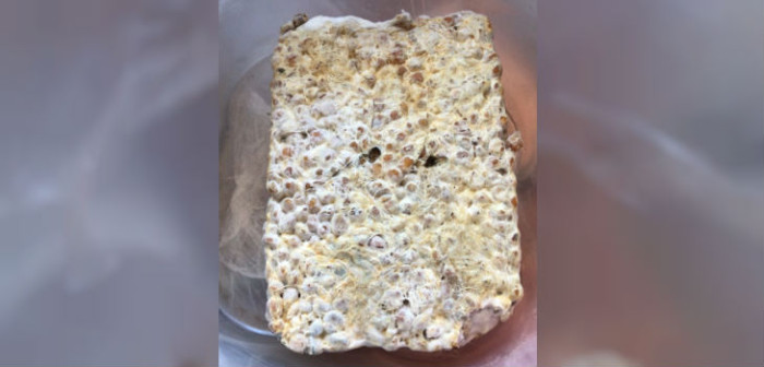 Realizan en Chillán una masiva incautación de hongos alucinógenos