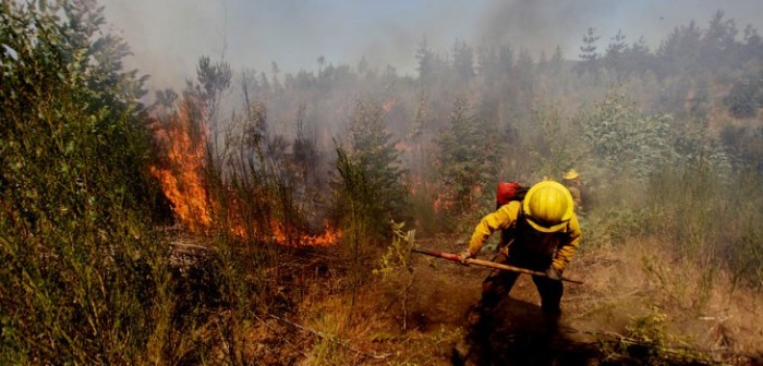 Lamentable escenario: estos son los incendios que siguen en combate a nivel nacional