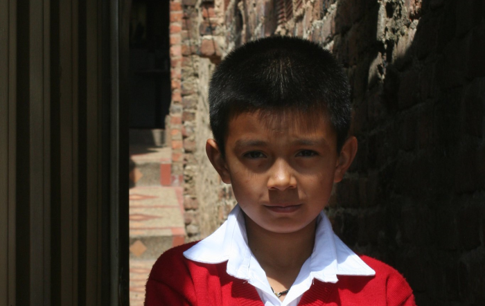 El aviso más tierno del mundo: niño hizo especial dibujo para buscar a su perrita perdida