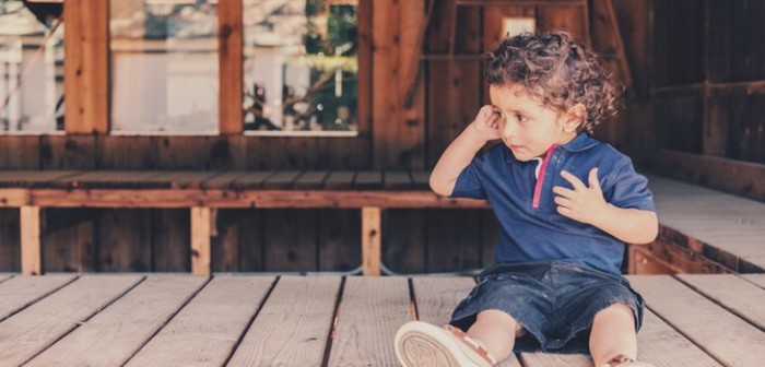 'El gato que se creía leña': inocente cuento viral de una niña enternece a cibernautas