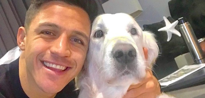 ¿A lo Miguel Bosé? Alexis Sánchez recibe bromas por tierno collage de sus perros