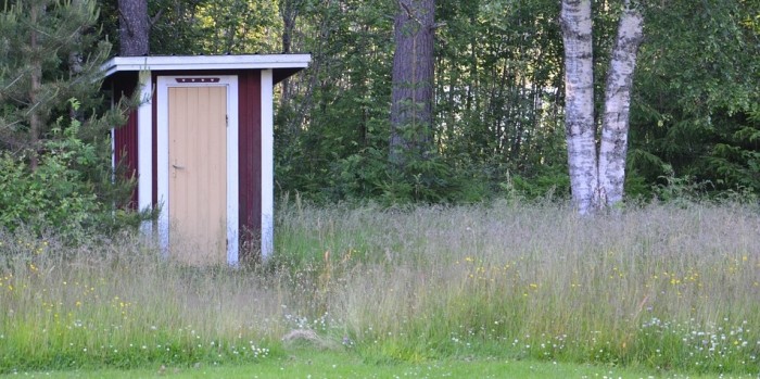 La horrible muerte de niña de 5 años: se ahogó tras caer en letrina de su colegio