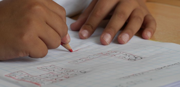 La ingeniosa y tierna respuesta de niño en un ejercicio sobre los seres vivos que es viral