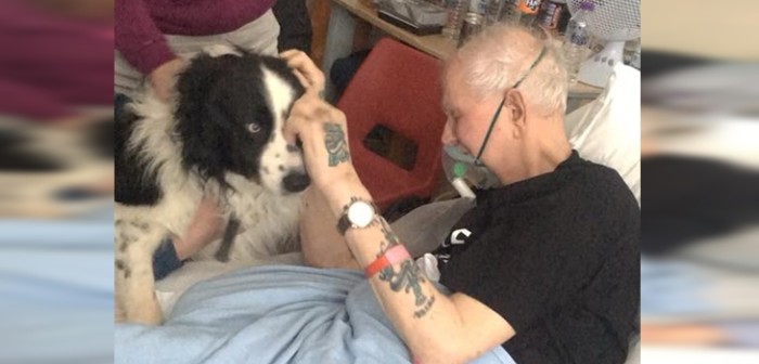 Video del último adiós entre abuelito hospitalizado y su perro conmueve en redes sociales