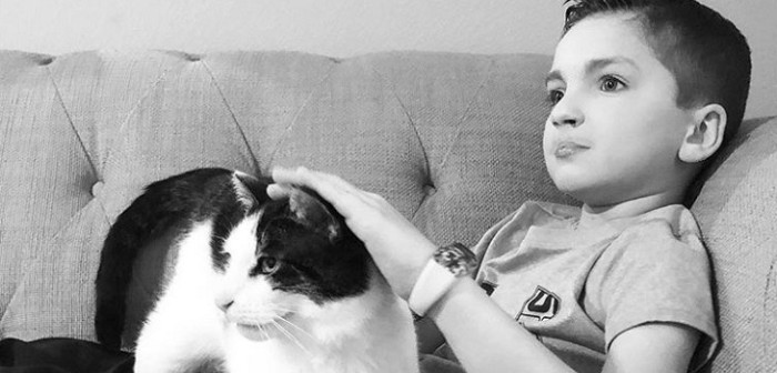 Niño con labio leporino y ojos de distinto color encontró a su 'gato ideal': son igualitos