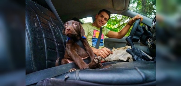 El sencillo video que muestra la conexión de Pangal con Bagual, el perro que le regaló Kel