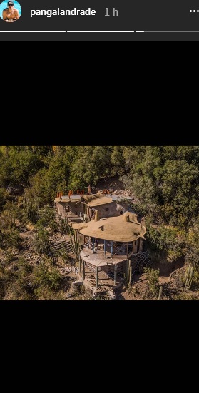 Pangal Andrade | Instagram