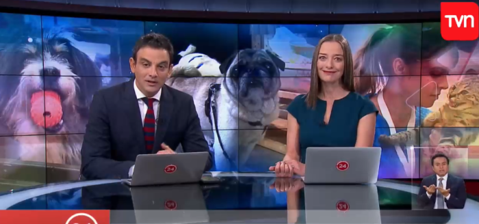 Ataque de risa: Consuelo Saavedra sufrió divertido chascarro en pleno '24 Horas'