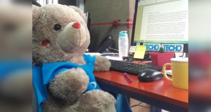 El especial mensaje de Techo Chile a Cathy Barriga que provocó su molestia