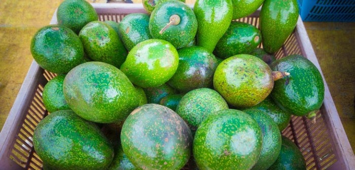 Drama nacional: alza en precio de las paltas desató ola de memes en redes sociales