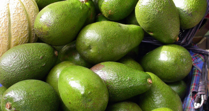 ¿Oro verde? Detienen a 2 jóvenes que robaron paltas desde árboles californianos