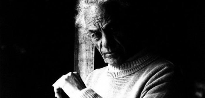 Nieto de Nicanor Parra en contra de su tía Catalina: 